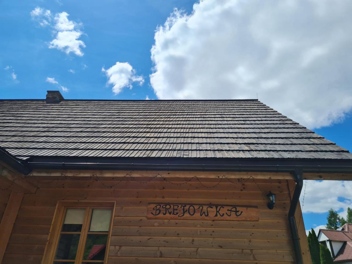 Brejowka Apartamento Krynica Zdroj Exterior foto